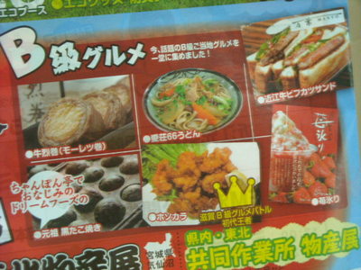 DSCN004478911.jpg