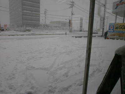 P1260001.JPG