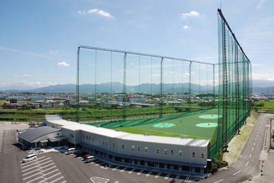 215.jpg